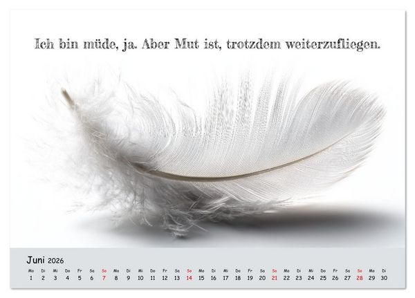 Produktbild: Krebs ist ein Vollidiot - Kalender f&uuml;r alle K&auml;mpfer mit Krebserkrankung (Tischkalender 2026 DIN A5 quer), CALVENDO Monatskalender