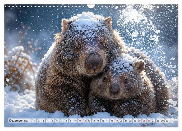 Produktbild: Niedliche Wombats - Australiens flauschige Beuteltiere zum Verlieben (Wandkalender 2027 DIN A3 quer), CALVENDO Monatskalender