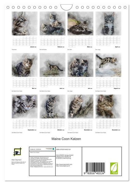 Produktbild: Maine Coon Katzen (Wandkalender 2026 DIN A4 hoch), CALVENDO Monatskalender