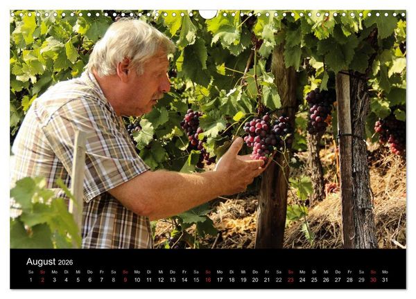 Produktbild: Das Jahr im Weinberg (Wandkalender 2026 DIN A3 quer), CALVENDO Monatskalender