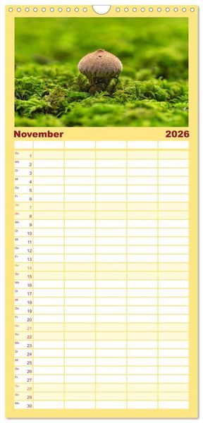 Produktbild: Familienplaner 2026 - Fantastische Pilzwelten mit 5 Spalten (Wandkalender, 21 x 45 cm) CALVENDO