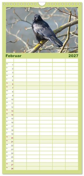 Produktbild: Familienplaner 2027 - Das Leben der Rabenv&ouml;gel mit 5 Spalten (Wandkalender, 21 x 45 cm) CALVENDO