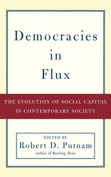 Produktbild: Democracies in Flux