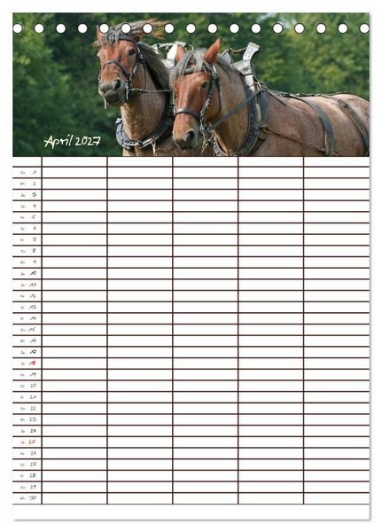 Produktbild: Der Kaltblut-Familienplaner (Tischkalender 2027 DIN A5 hoch), CALVENDO Monatskalender