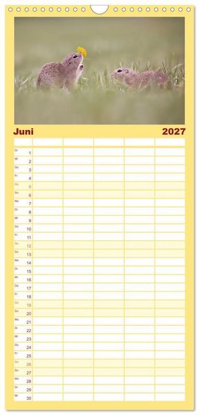 Produktbild: Familienplaner 2027 - Zauberhafte Ziesel mit 5 Spalten (Wandkalender, 21 x 45 cm) CALVENDO