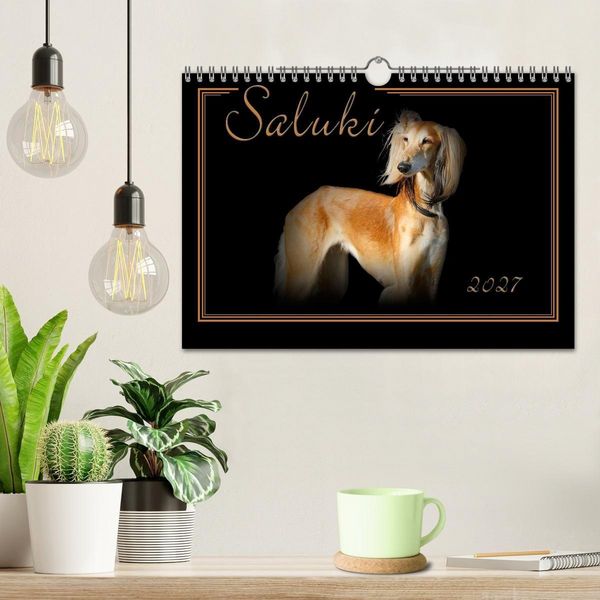 Produktbild: Saluki 2027 (Wandkalender 2027 DIN A4 quer), CALVENDO Monatskalender