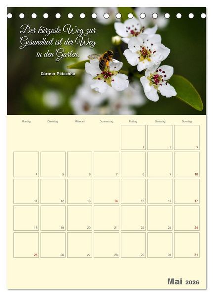Produktbild: Gartenliebe (Tischkalender 2026 DIN A5 hoch), CALVENDO Monatskalender