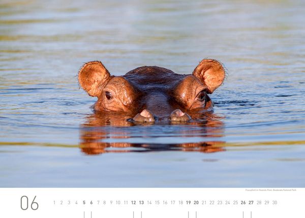 Produktbild: Namibia Exklusivkalender 2027