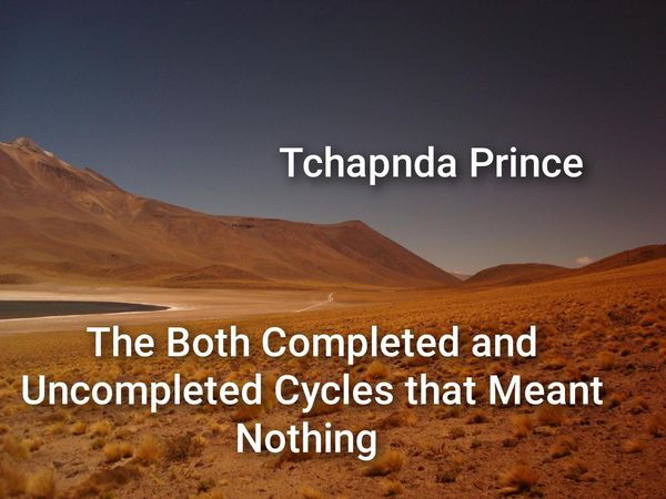 Produktbild: The Both Completed and Uncompleted Cycles that Meant Nothing