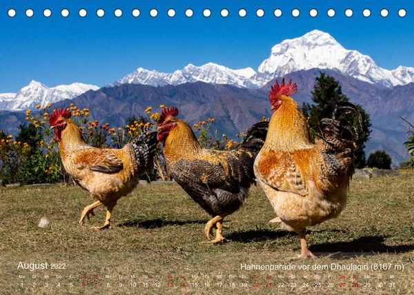 Produktbild: NEPAL - rund um die Annapurna (Tischkalender 2022 DIN A5 quer)