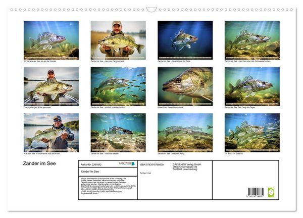 Produktbild: Zander im See (Wandkalender 2027 DIN A2 quer), CALVENDO Monatskalender
