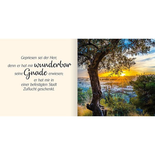 Produktbild: Ich schenke dir Psalm 31