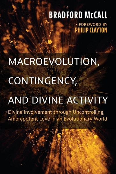 Produktbild: Macroevolution, Contingency, and Divine Activity