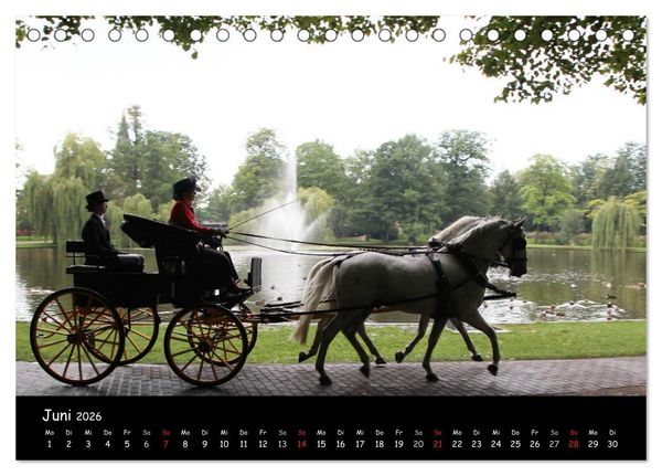 Produktbild: CIAT - Historischer Fahrsport in Celle (Tischkalender 2026 DIN A5 quer), CALVENDO Monatskalender