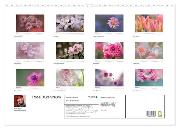 Produktbild: Rosa Bl&uuml;tentraum (Wandkalender 2027 DIN A2 quer), CALVENDO Monatskalender