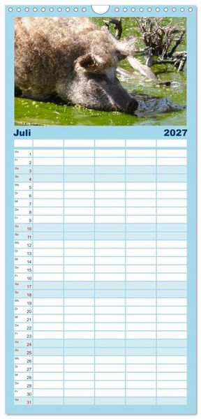Produktbild: Familienplaner 2027 - Tierische Schweinerei mit 5 Spalten (Wandkalender, 21 x 45 cm) CALVENDO