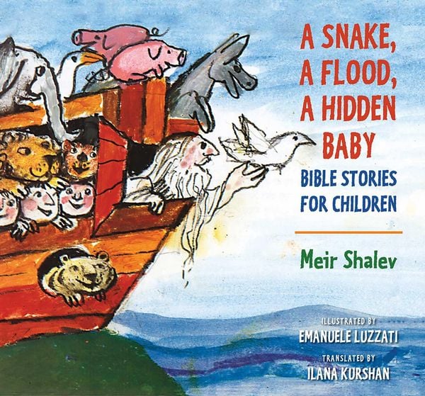 Produktbild: A Snake, a Flood, a Hidden Baby
