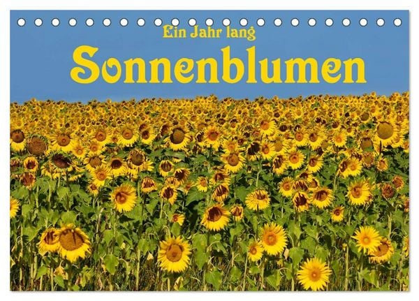Produktbild: Ein Jahr lang Sonnenblumen (Tischkalender 2026 DIN A5 quer), CALVENDO Monatskalender