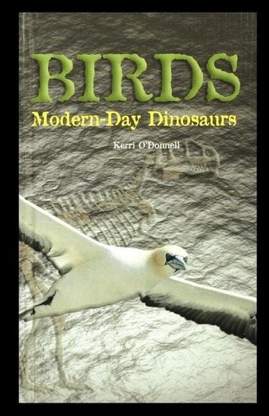 Produktbild: Birds