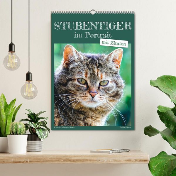 Produktbild: Stubentiger im Portrait (Wandkalender 2026 DIN A2 hoch), CALVENDO Monatskalender