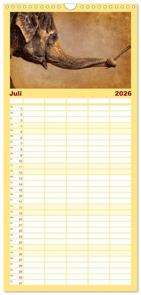 Produktbild: Familienplaner 2026 - Elefanten - Portraits der besonderen Art mit 5 Spalten (Wandkalender, 21 x 45 cm) CALVENDO
