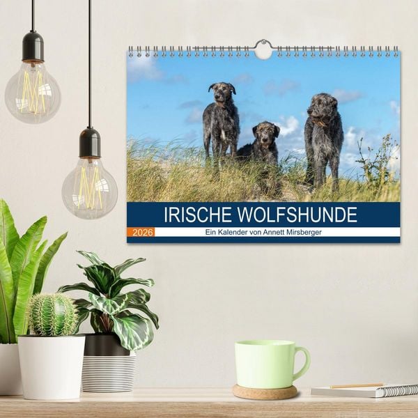 Produktbild: Irische Wolfshunde (Wandkalender 2026 DIN A4 quer), CALVENDO Monatskalender