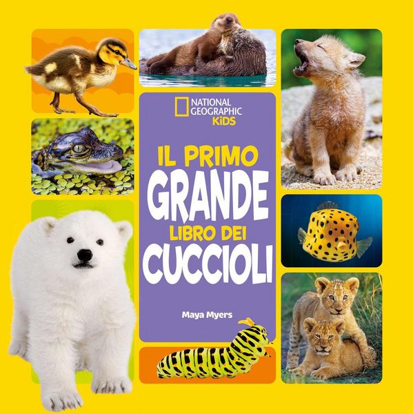 Produktbild: Il primo grande libro dei cuccioli