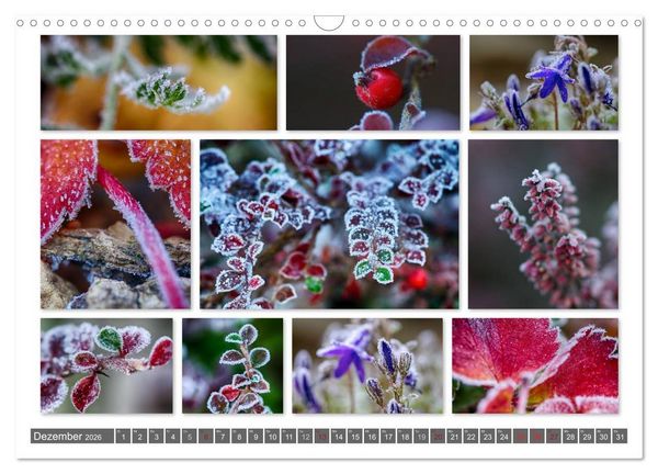 Produktbild: Naturcollagen 2026 (Wandkalender 2026 DIN A3 quer), CALVENDO Monatskalender