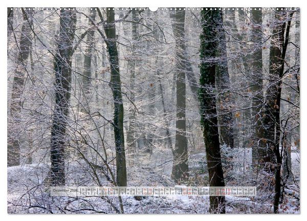 Produktbild: Wald im Bergischen Land 2026 (hochwertiger Premium Wandkalender 2026 DIN A2 quer), Kunstdruck in Hochglanz