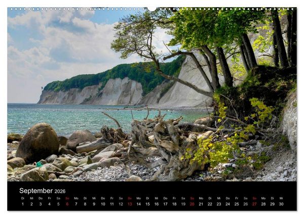 Produktbild: Baum-Variationen (Wandkalender 2026 DIN A2 quer), CALVENDO Monatskalender
