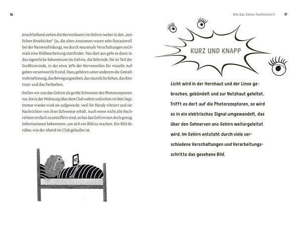 Faszination Auge