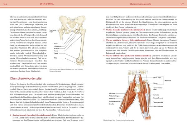 Produktbild: Pr&auml;vention von Sportverletzungen &ndash; Anatomie