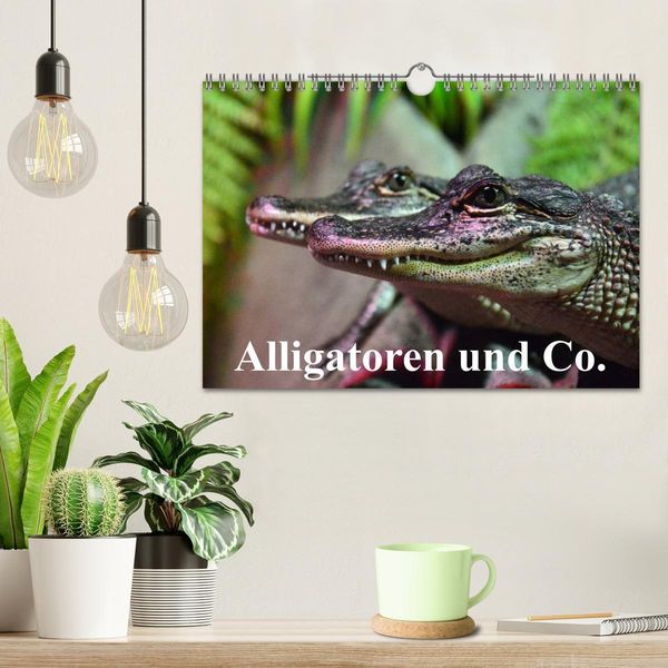 Produktbild: Alligatoren und Co. (Wandkalender 2026 DIN A4 quer), CALVENDO Monatskalender