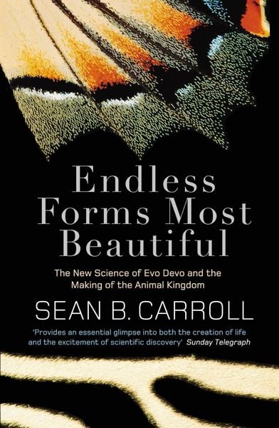 Produktbild: Endless Forms Most Beautiful