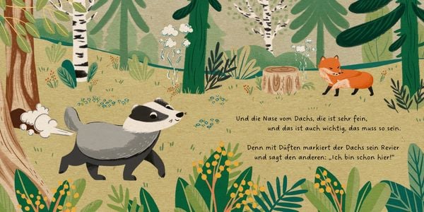 Produktbild: Meine Waldfreunde. Der kleine Dachs