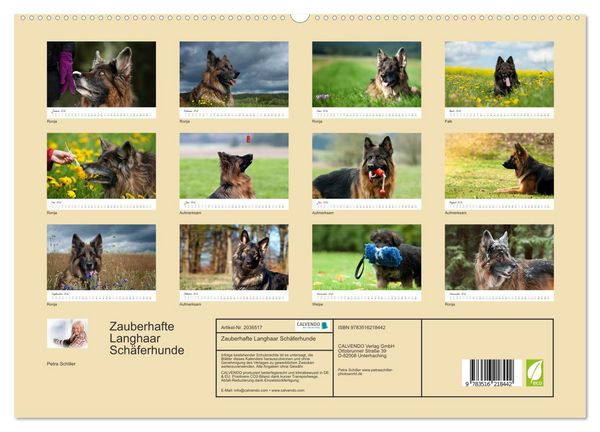 Produktbild: Zauberhafte Langhaar Sch&auml;ferhunde (hochwertiger Premium Wandkalender 2026 DIN A2 quer), Kunstdruck in Hochglanz