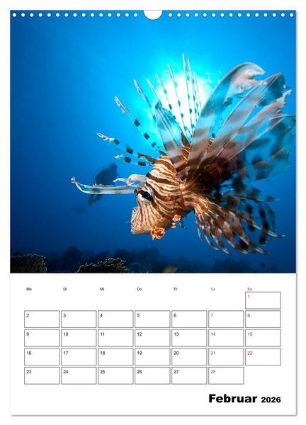 Produktbild: Tauchen - Abtauchen und Staunen (Wandkalender 2026 DIN A3 hoch), CALVENDO Monatskalender