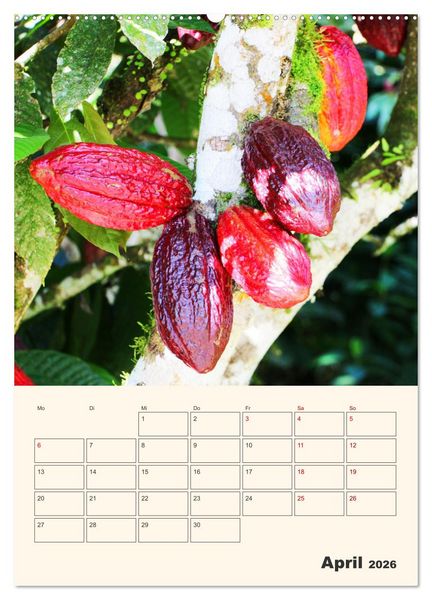 Produktbild: Ecuador - Terminplaner (Wandkalender 2026 DIN A2 hoch), CALVENDO Monatskalender