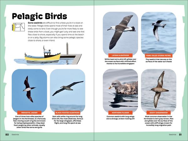 Produktbild: Birds of the Pacific Northwest for Kids