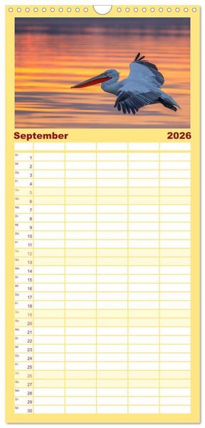 Produktbild: Familienplaner 2026 - Krauskopfpelikane mit 5 Spalten (Wandkalender, 21 x 45 cm) CALVENDO