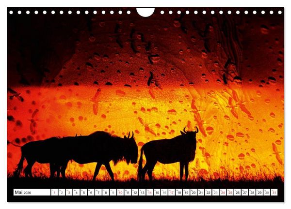 Produktbild: Emotionale Momente: African Dreams (Wandkalender 2026 DIN A4 quer), CALVENDO Monatskalender
