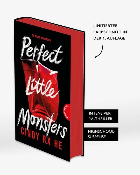 Produktbild: Perfect Little Monsters