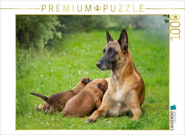 CALVENDO Puzzle Ein Motiv aus dem Kalender Traumhund Malinois | 1000 Teile Lege-Größe 64x48cm Foto-Puzzle für glückliche Stunden