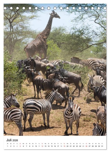 Produktbild: Serengeti Pur - Tansania (Tischkalender 2026 DIN A5 hoch), CALVENDO Monatskalender