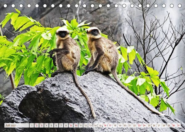 Produktbild: S&uuml;dindien - Naturparadies in den Bergen (Tischkalender 2022 DIN A5 quer)