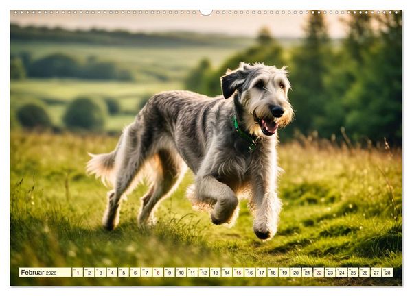 Produktbild: Giganten der Hundwelt (Wandkalender 2026 DIN A2 quer), CALVENDO Monatskalender