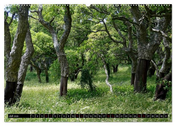 Produktbild: Sardinien - Der Norden (Wandkalender 2026 DIN A2 quer), CALVENDO Monatskalender