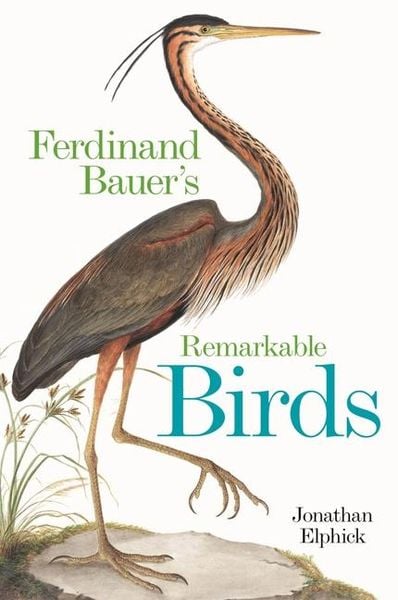Produktbild: Ferdinand Bauer's Remarkable Birds