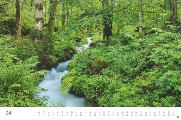 Produktbild: Wunderwelt Wald 2027