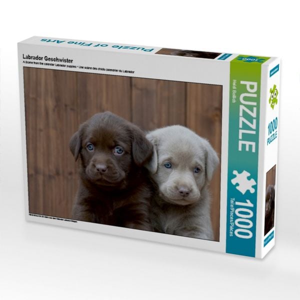 Produktbild: CALVENDO Puzzle Labrador Geschwister | 1000 Teile Lege-Gr&ouml;&szlig;e 64x48cm Foto-Puzzle f&uuml;r gl&uuml;ckliche Stunden